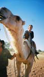 camel ride