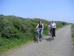 Biking along the excellent bike paths in the sand dunes