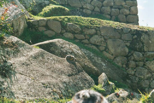 inca_ruins3