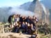 group_mpicchu